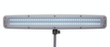 MAUL lampe de table à DEL avec variateur MAULwork, lumière blanc froid (blanc lumière du jour), blanc  S