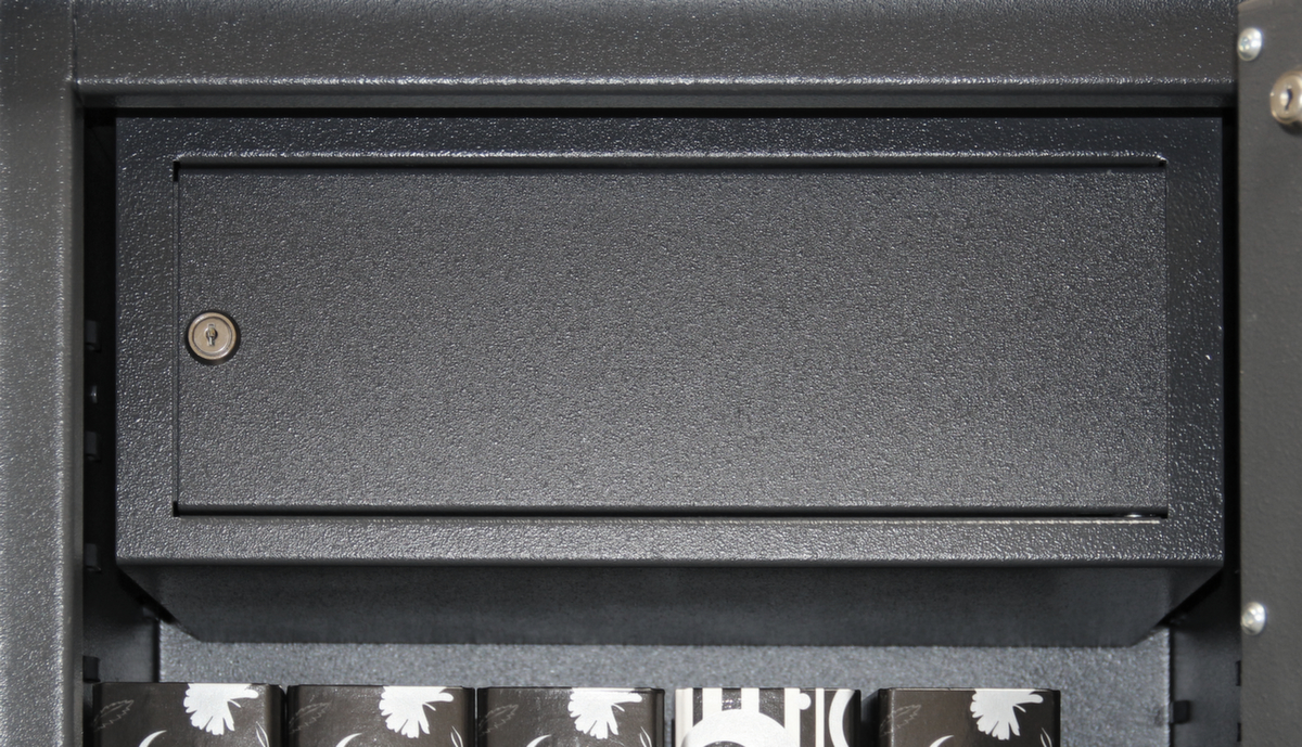 Format Tresorbau Coffre-fort intérieurpour armoire haute sécurité en différentes largeurssupplément de prix  ZOOM