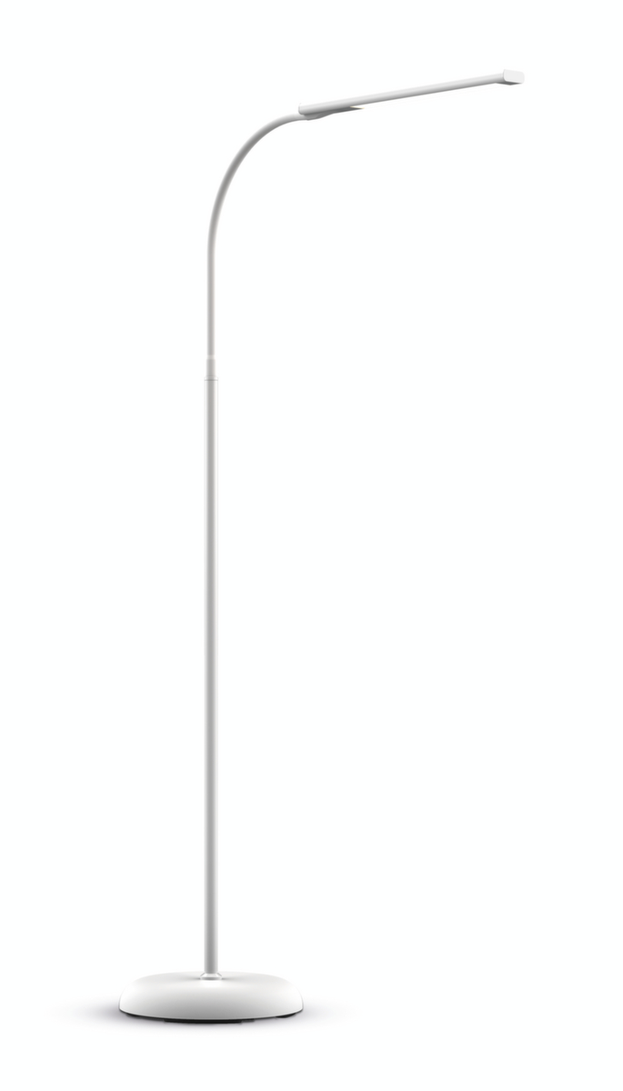 MAUL Lampadaire à DEL simple avec variateur MAULpirro, lumière blanc chaud, blanc