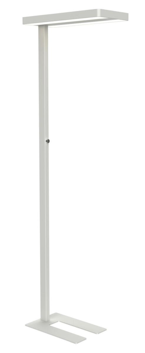 MAUL Lampadaire à DEL avec variateur MAULjaval avec lumière directe et indirecte, lumière blanc neutre, blanc