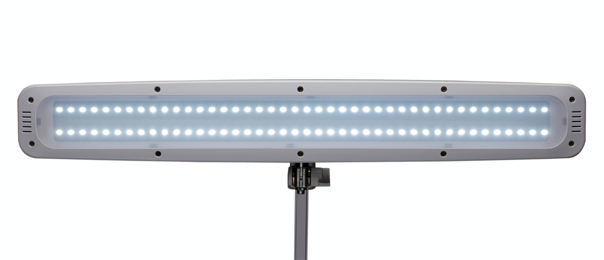 MAUL lampe de table à DEL avec variateur MAULwork, lumière blanc froid (blanc lumière du jour), blanc  ZOOM