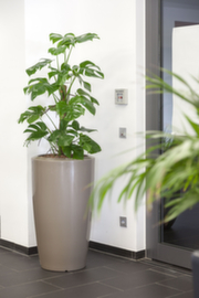 Colonne de plantation degardo® ROVIO